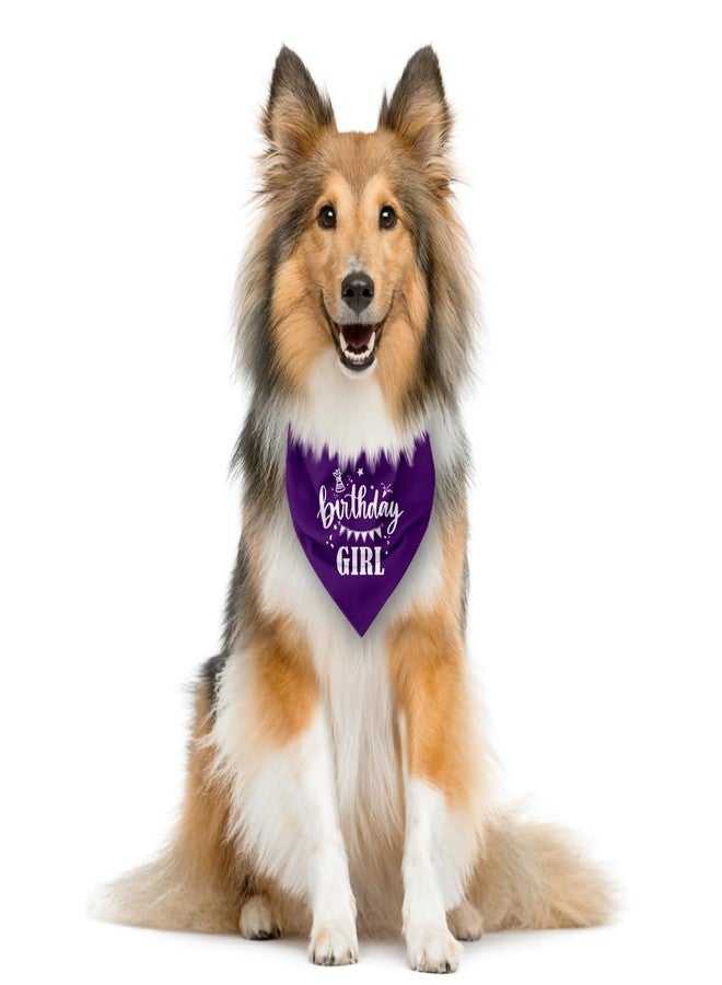 ZPPRJF Birthday Girl Dog Bandana - Purple Triangle Scarf for Small Medium Large Dogs - Funny Cute Pet Accessory - Gift for Dog Lovers (D32) - Image 3